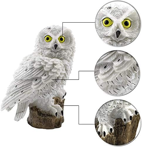 Solar Uil Lamp - Breng je tuin tot leven!