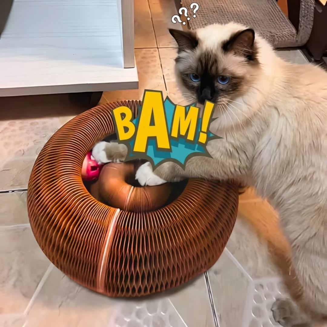 2-in-1 Kattenbed & Krabspeelgoed – Spelen én Ontspannen