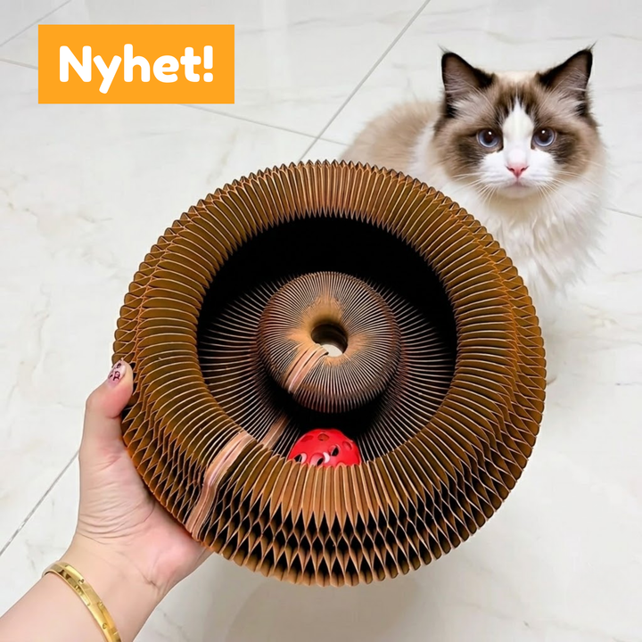 2-in-1 Kattenbed & Krabspeelgoed – Spelen én Ontspannen