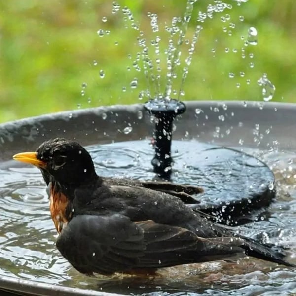 Solar Fontein voor Tuin & Vijver – Direct Sfeervol en Duurzaam 💧